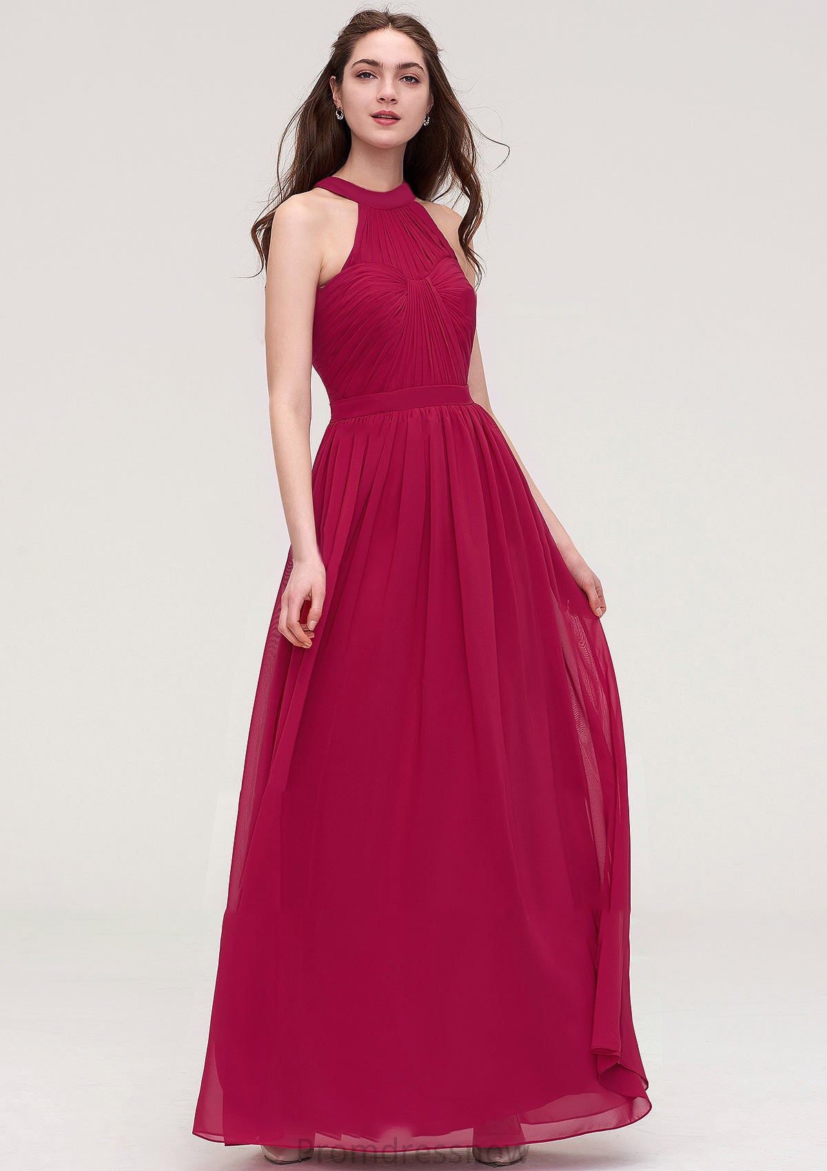 Halter Sleeveless Long/Floor-Length Chiffon A-line/Princess Bridesmaid Dresses With Pleated Allison HPP0025483