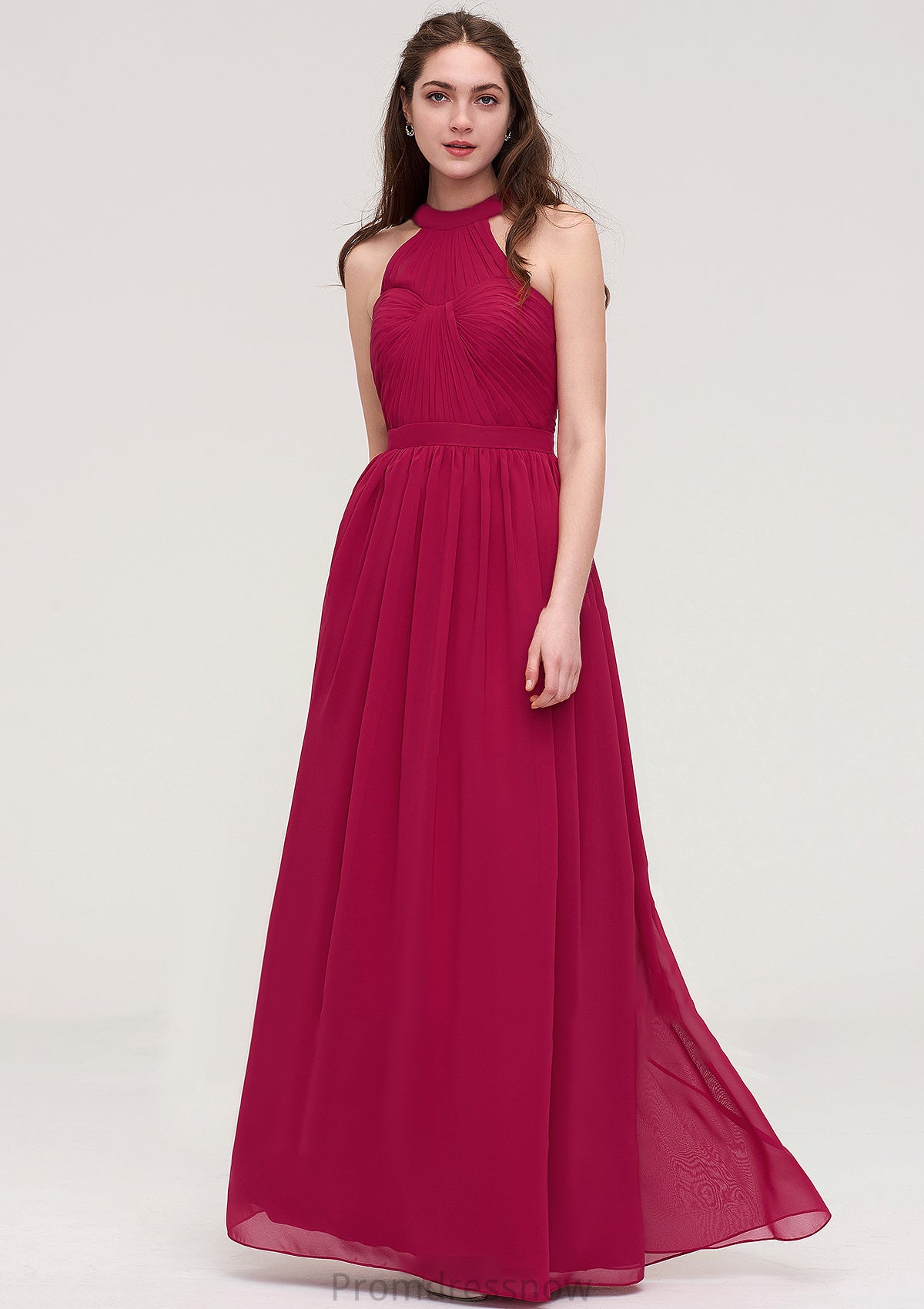 Halter Sleeveless Long/Floor-Length Chiffon A-line/Princess Bridesmaid Dresses With Pleated Allison HPP0025483