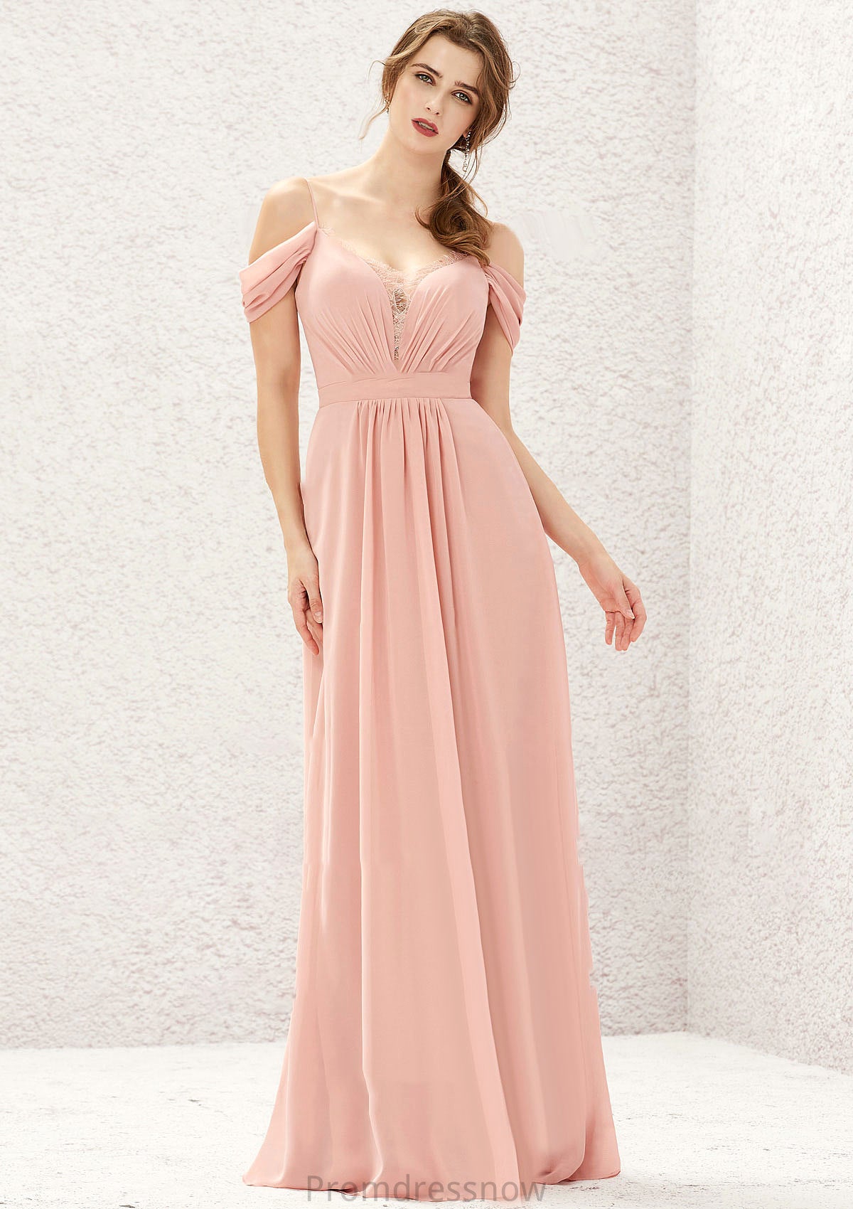 A-line Sweetheart Sleeveless Chiffon Long/Floor-Length Bridesmaid Dresses With Pleated Lace Carissa HPP0025629