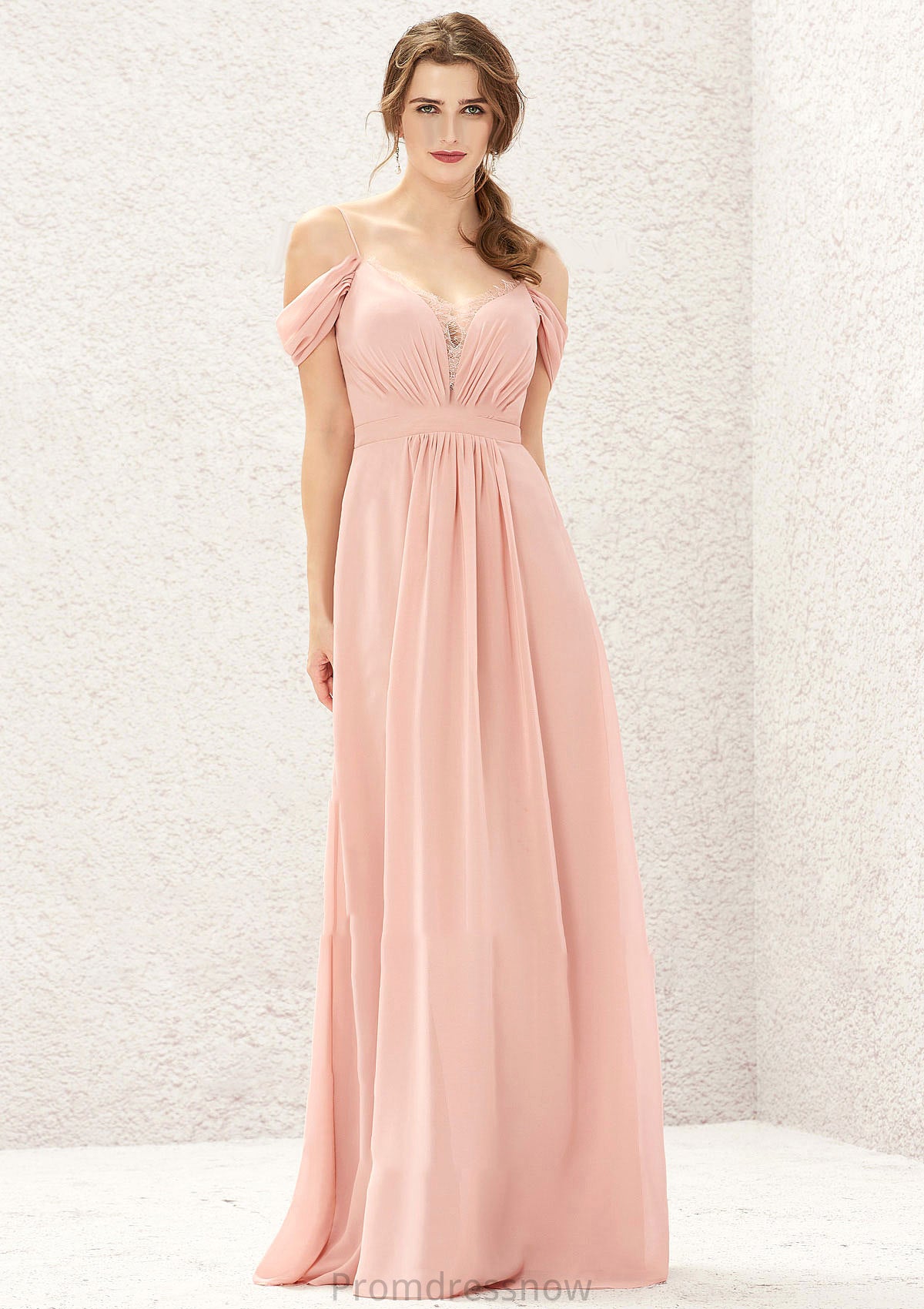 A-line Sweetheart Sleeveless Chiffon Long/Floor-Length Bridesmaid Dresses With Pleated Lace Carissa HPP0025629