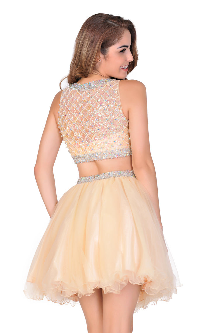 2024  A-Line Homecoming Dresses Short/Mini Scoop Beaded Bodice Tulle